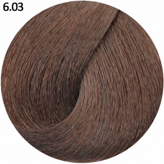 6.03 теплый темный блондин