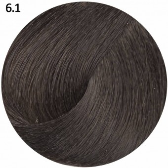 6.1 темный блондин пепельный