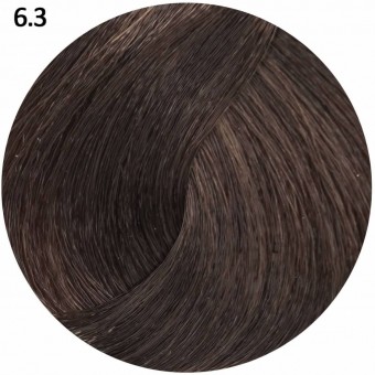 6.3 темный блондин золотистый