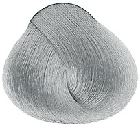 10.11 платиновый интенсивно пепельный блондин