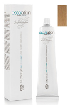 10/37 очень светлый блондин золотисто-бежевый