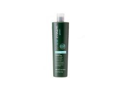 Шампунь увлажняющий для всех типов волос Inebrya Ice Cream Green Moisture Gentle shampoo