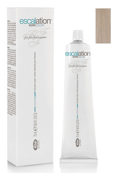 11/02 очень светлый блондин натуральный пепельный