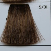 GALHCC5/31 светлый шатен золотисто-пепельный