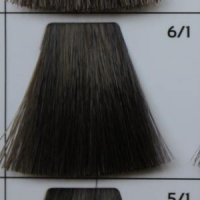 GALHCC6/1 темно-русый пепельный