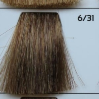 GALHCC6/31 темно-русый золотисто-пепельный