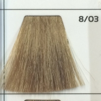 GALHCC8/03 светло-русый золотистый