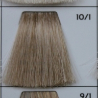 GALHCC10/1 светлый блондин пепельный