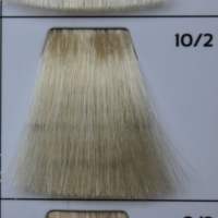 GALHCC10/2 светлый блондин перламутровый