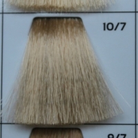 GALHCC10/7 светлый блондин коричневый