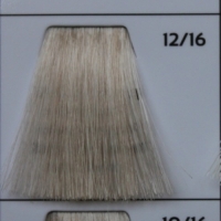 GALHCC12/16 экстра блонд пепельно-фиолетовый