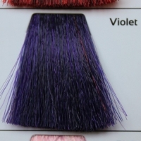 GALHCC фиолетовый