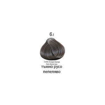 6.1