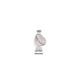 1001