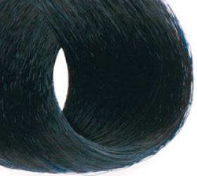 1.10 (иссиня черный)