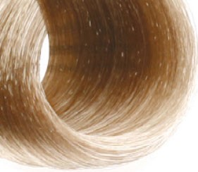 10.01 (пепельный платиновый блондин)