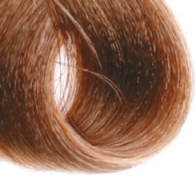 7.3 (золотисто - русый)