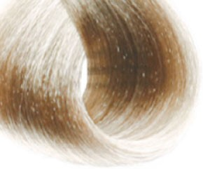 10.01E (экстра пепельный платиновый блондин)