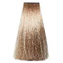 9N (9.0)Очень светлый русый