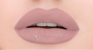 PV0211 идеально-нюдовый 