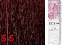 5.5 Бархатная ночь