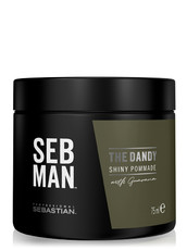 Крем-воск для укладки волос легкой фиксации THE DANDY Seb Man Sebastian Professional 