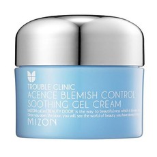 Комплексный гель-крем для проблемной кожи лица MIZON Acence Blemish Control Soothing Gel Cream 