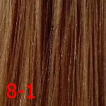 8/1 Светлый блонд пепельный