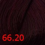 66.20 Темный русый интенсивный фиолетовый