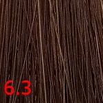 6.3 Темный золотистый блондин 